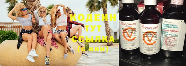 твердый Верхний Тагил
